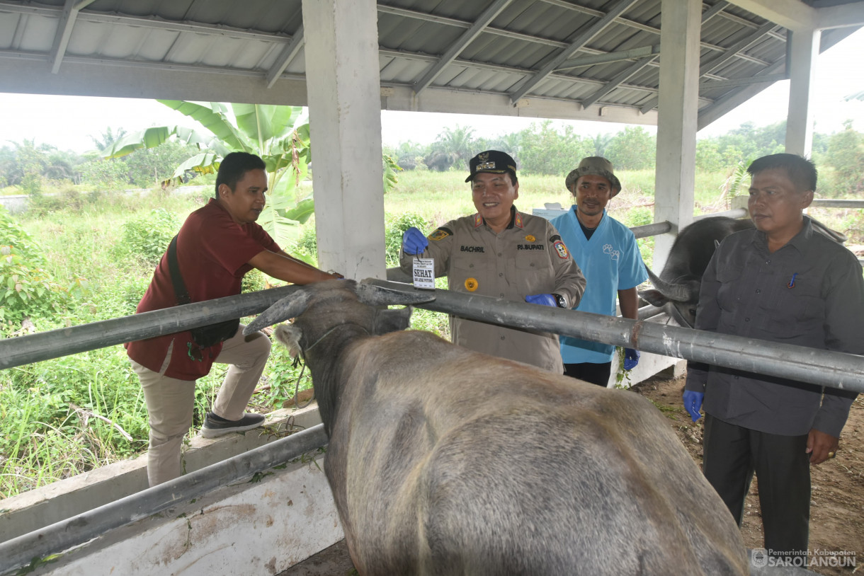 15 Juni 2024 - Monitoring Tempat Pemotongan Hewan Kurban Di Kelurahan Aurgading Kecamatan Sarolangun Dan Desa Siliwangi Kecamatan Singkut