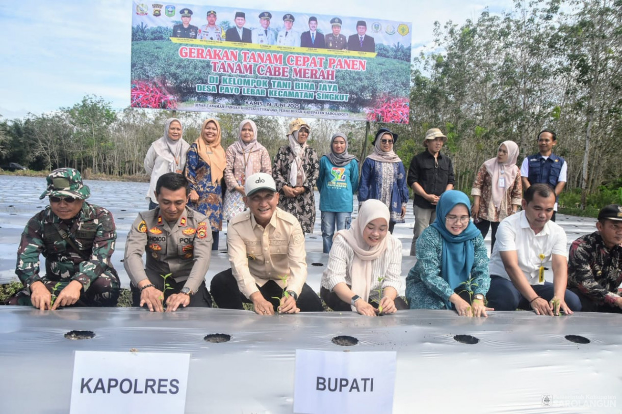 19 Juni 2025 -&nbsp;Tanam Cabe Merah Kelompok Tani Bina