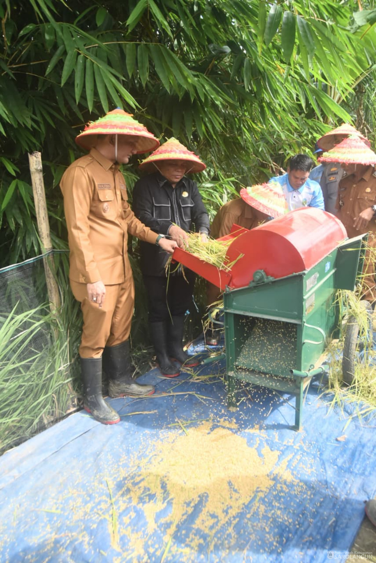 1 September 2025&nbsp; Panen Padi Sawah Kelompok Tani Sumber Harapan Desa Sungai Bemban Kecamatan Batang Asai