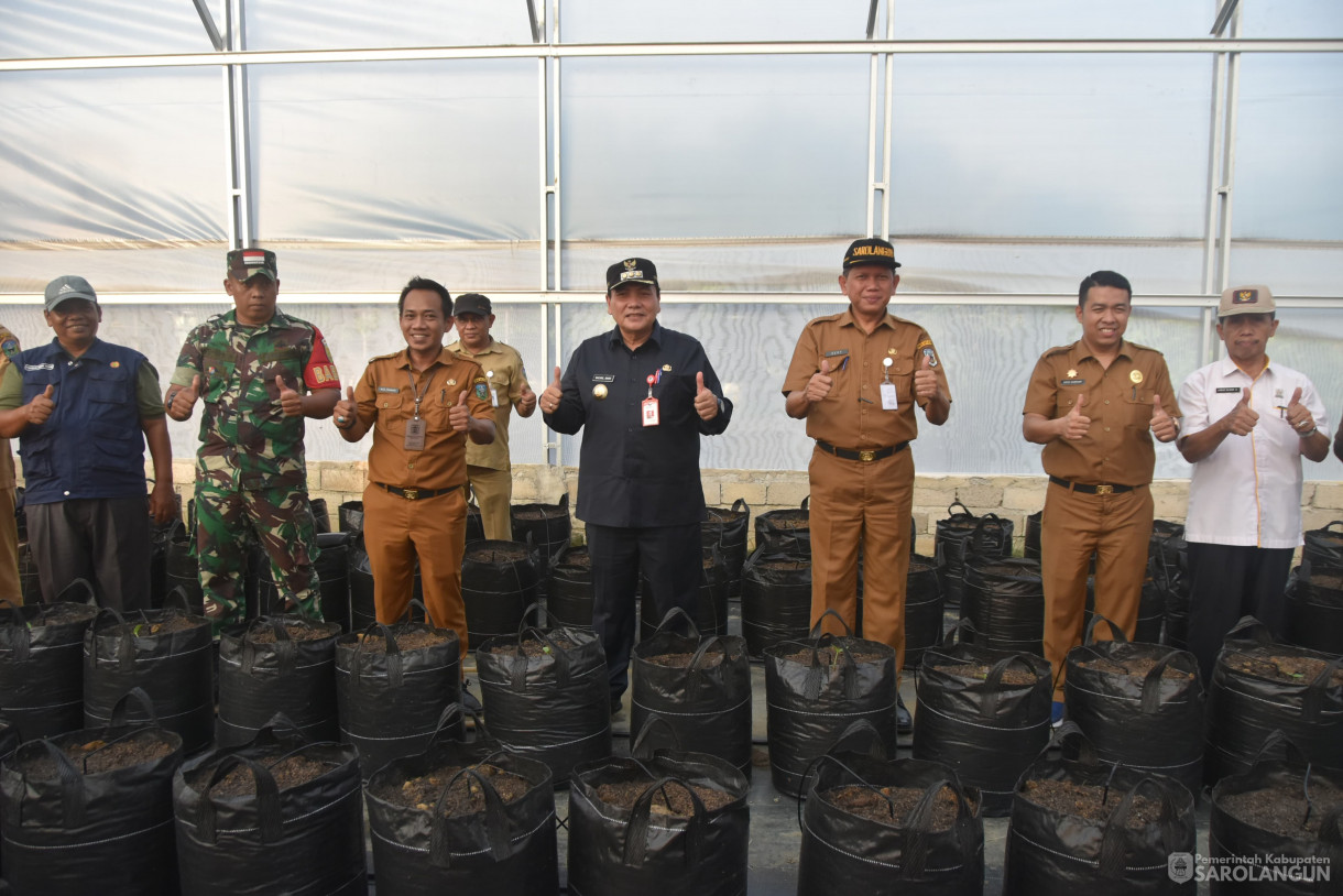 4 Juni 2024 - Gerakan Tanam Cepat Panen Tanam Cabe Merah Di Kelompok Jaya Makmur Desa Bukit Murau Kecamatan Singkut Dan Meninjau Smart Green House Dan Penanaman Bibit M