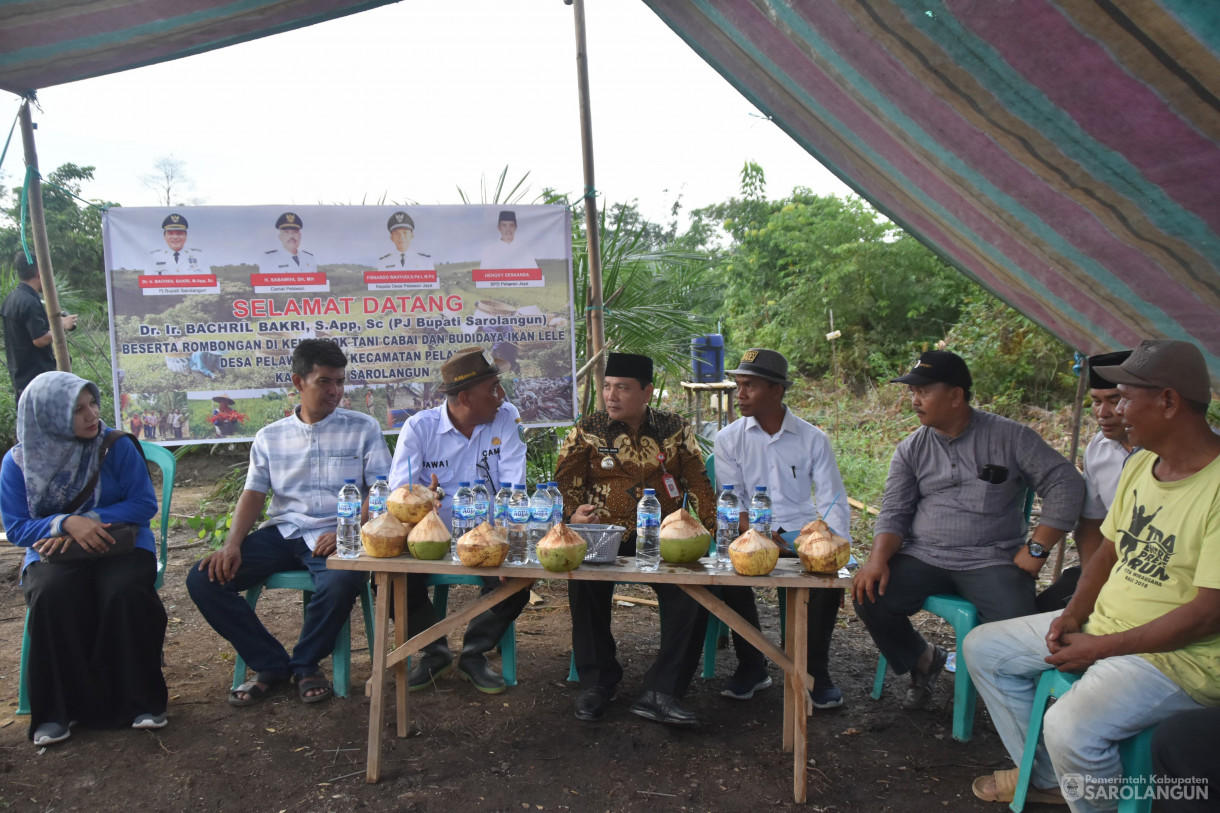 20 Desember 2023 - Meninjau Kebun Cabe Kelompok Tani Desa Pelawan Jaya