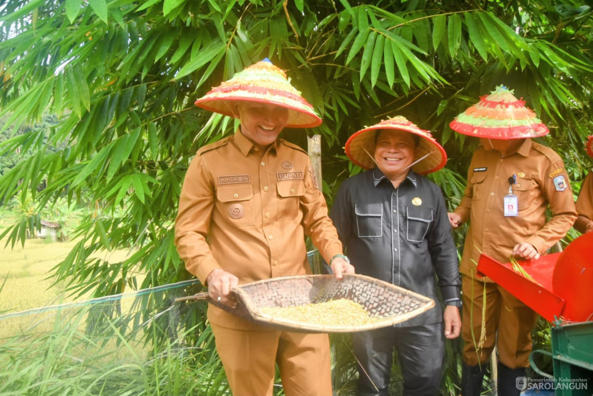 1 September 2025&nbsp; Panen Padi Sawah Kelompok Tani Sumber Harapan Desa Sungai Bemban Kecamatan Batang Asai