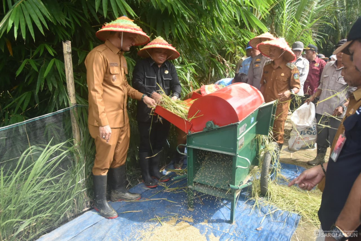 1 September 2025&nbsp; Panen Padi Sawah Kelompok Tani Sumber Harapan Desa Sungai Bemban Kecamatan Batang Asai
