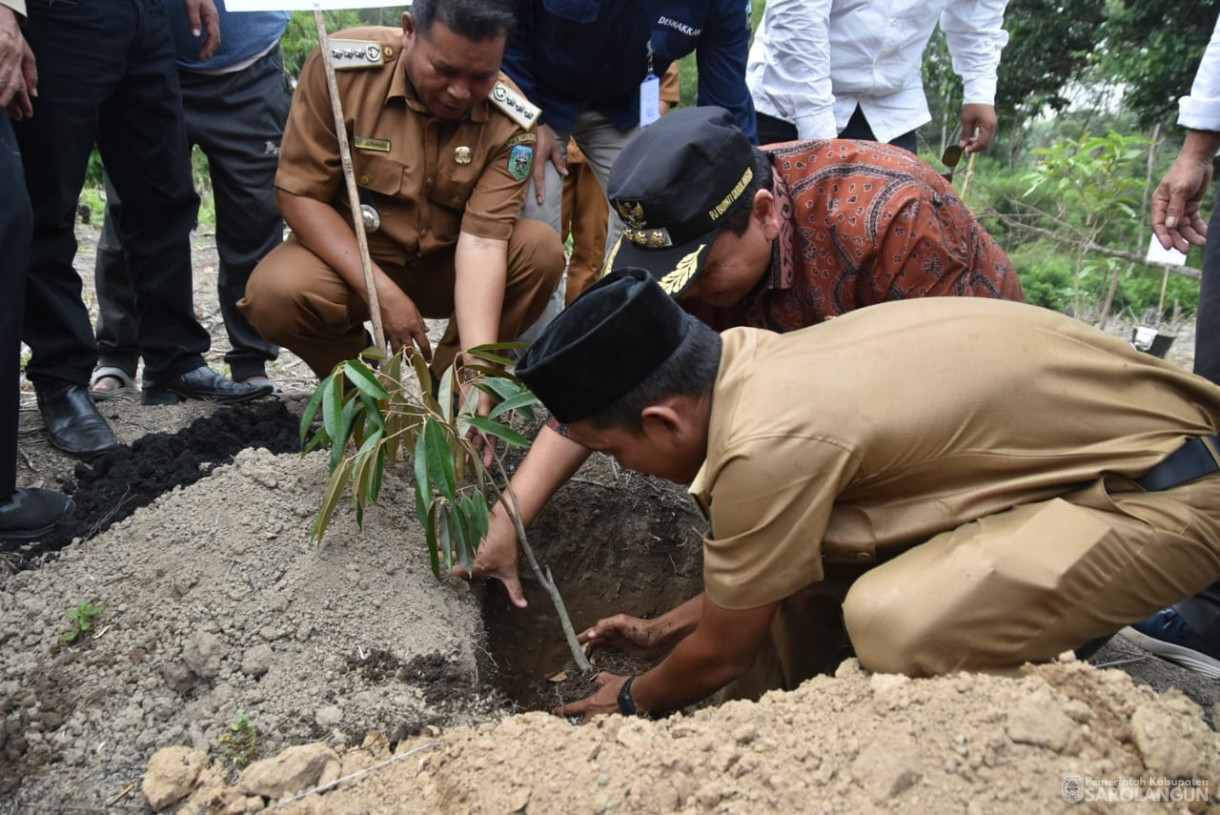 Penanaman Bibit Buah-Buahan di Desa Muaro Cuban Kecamatan Batang Asai