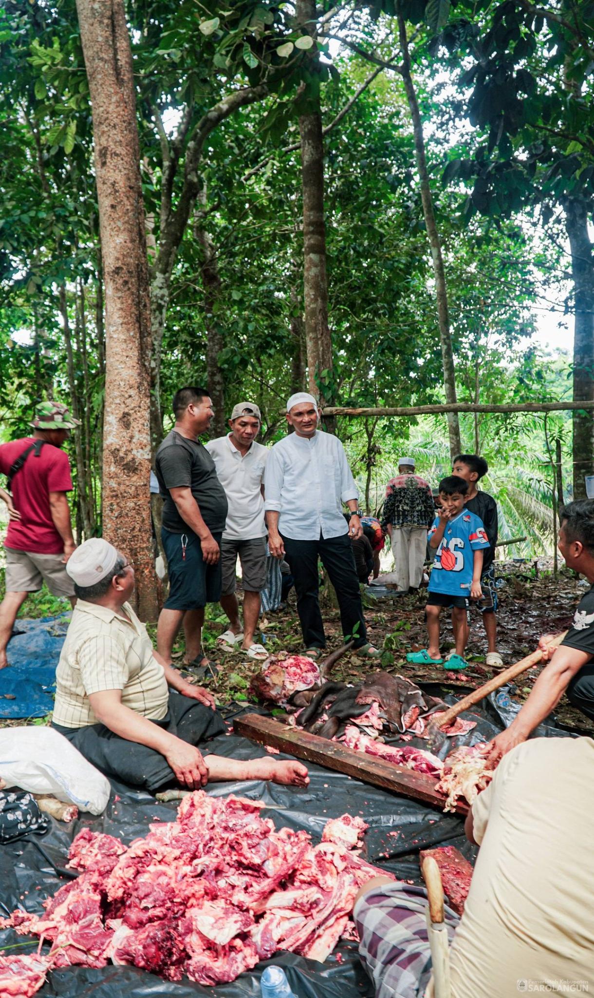 27 Mei 2026 Bupati Sarolangun Menghadiri Sekaligus Menyaksikan Secara Langsung Proses Pemotongan Hewan Kurban 46 Ekor Sapi, 2 Ekor Kambing di Desa Rantau Gedang Kecamatan Bathin VIII
