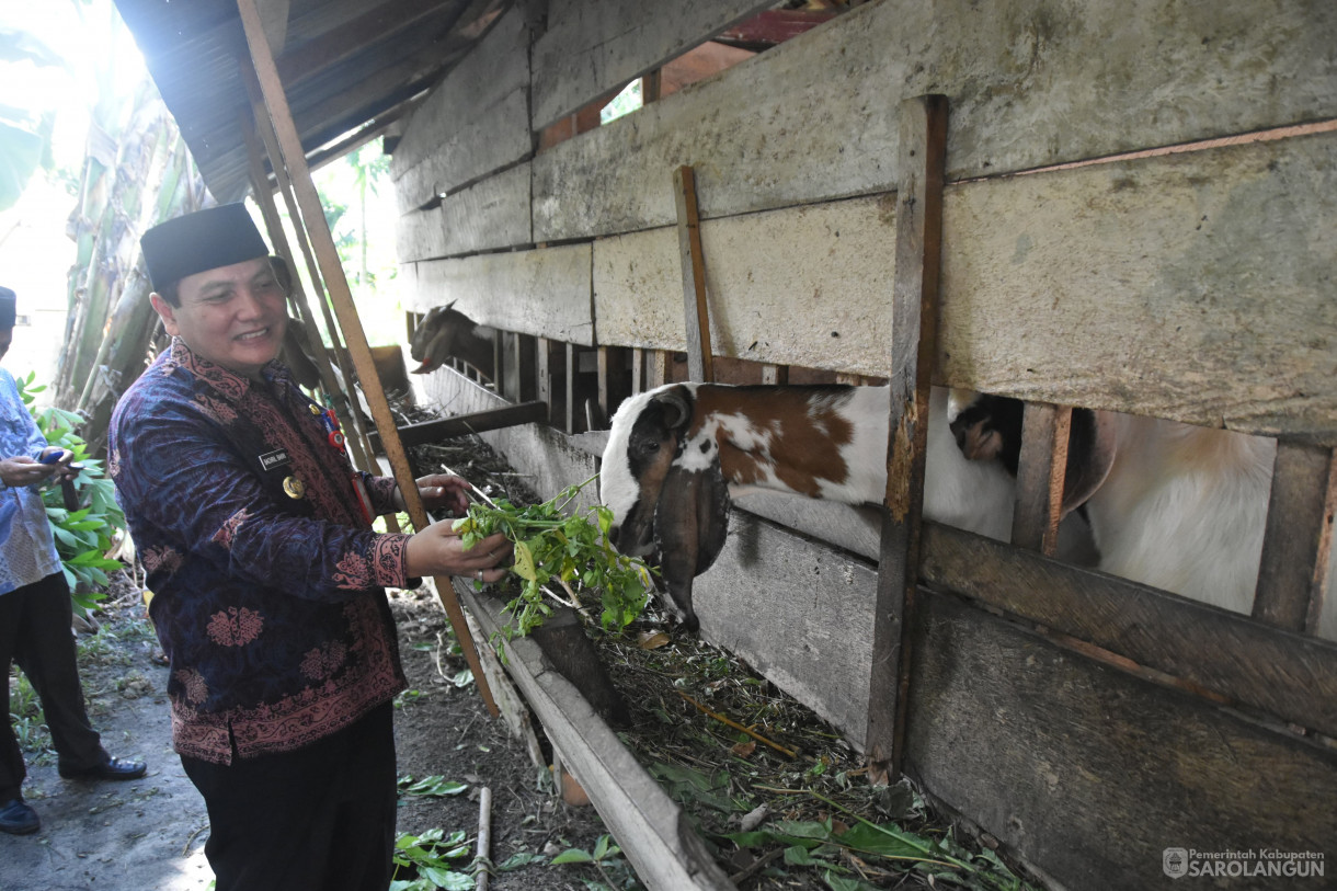 11 Januari 2024 - Monitoring Ternak Kambing Dan Ikan Di Desa Pasar Singkut Kecamatan Singkut