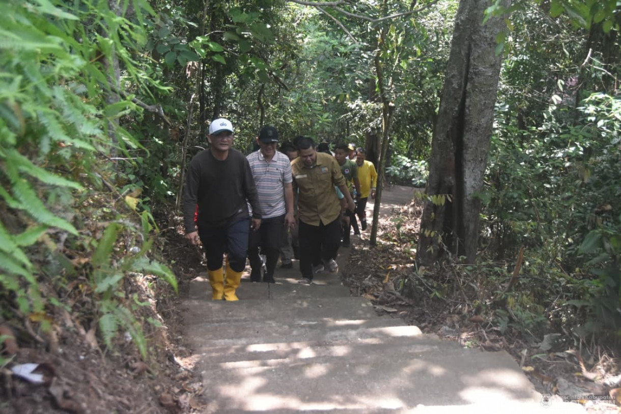 5 November 2025 Meninjau jalan Taman Nasional Bukit Dua Belas Kecamatan Air Hitam