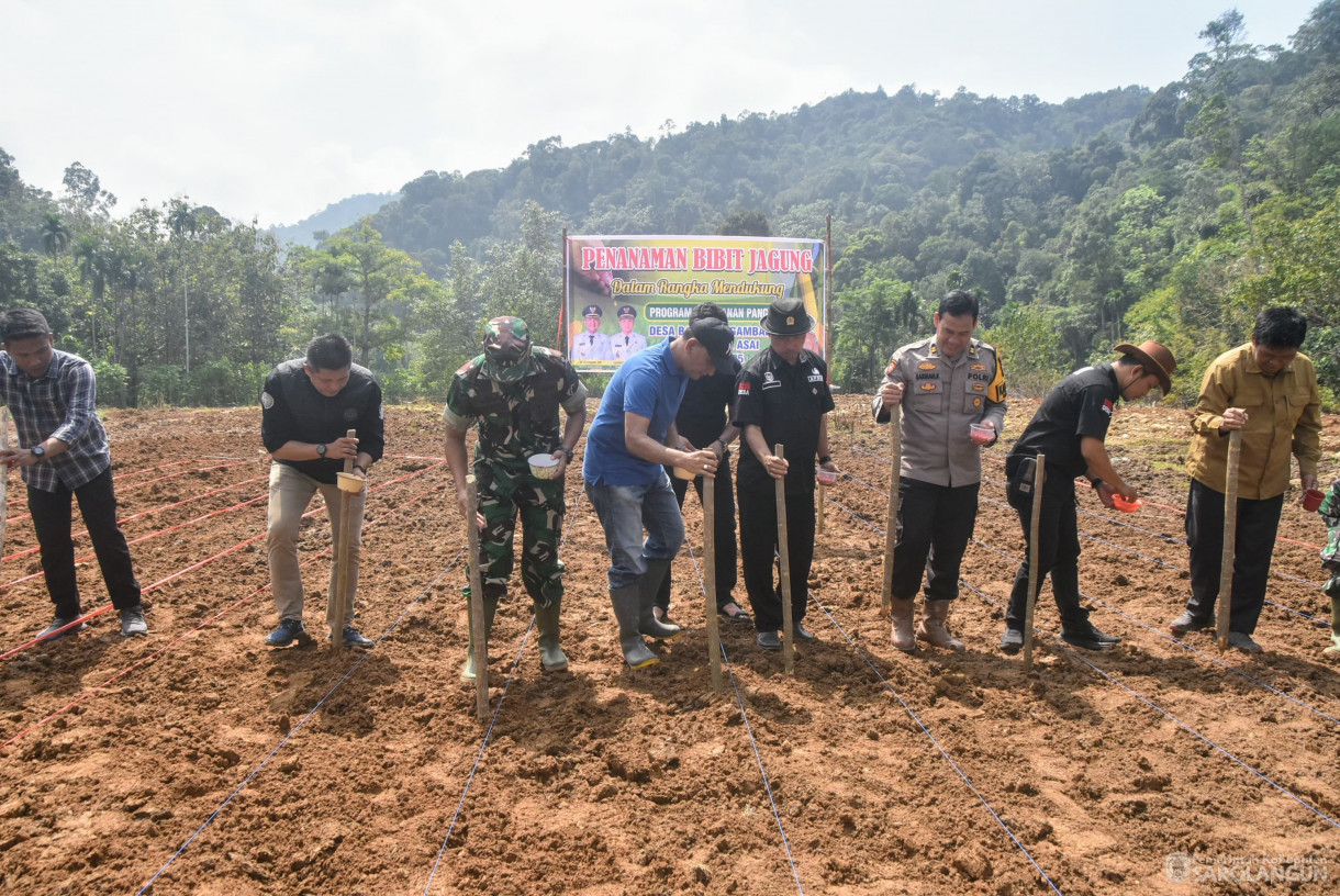 9 Agustus 2025 - Penanaman Bibit Jagung Dalam Rangka Program Ketahanan Pangan di Desa Bathin Pengambang Kecamatan Batang Asai
