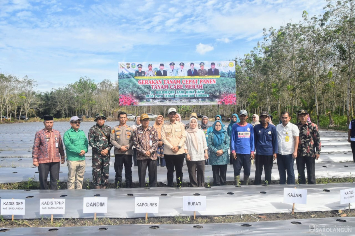 19 Juni 2025 -&nbsp;Tanam Cabe Merah Kelompok Tani Bina