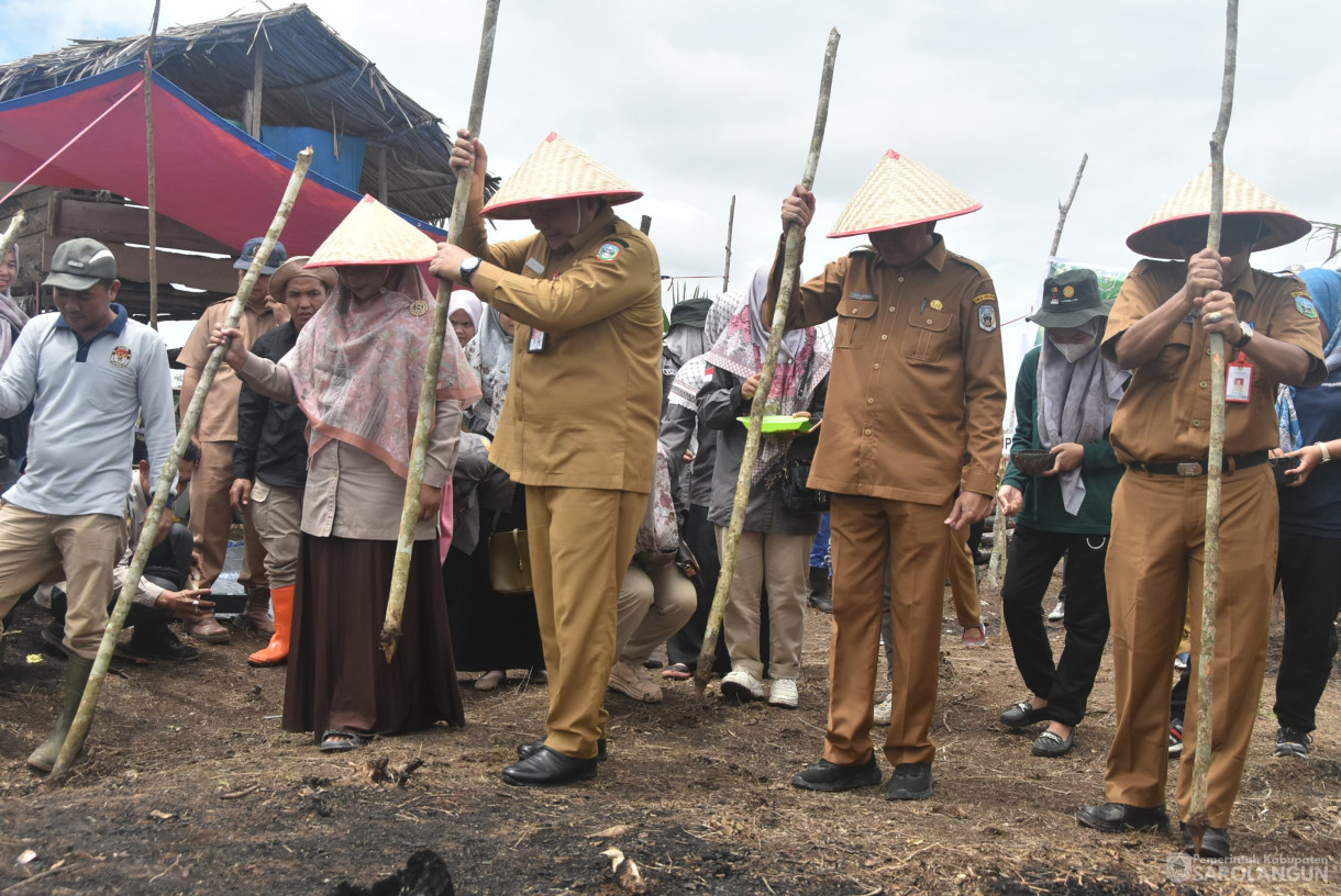 10 September 2024 - Tanam Perdana Padi Ladang Kelompok Tani Mitra Jaya, Bertempat di Desa Pulau Melako Kecamatan Bathin VIII