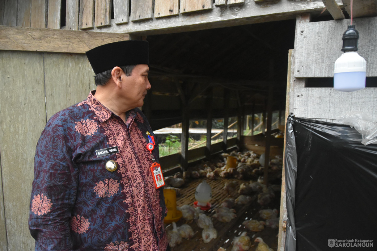 11 Januari 2024 - Monitoring Ternak Ayam Di Desa Argosari Kecamatan Singkut