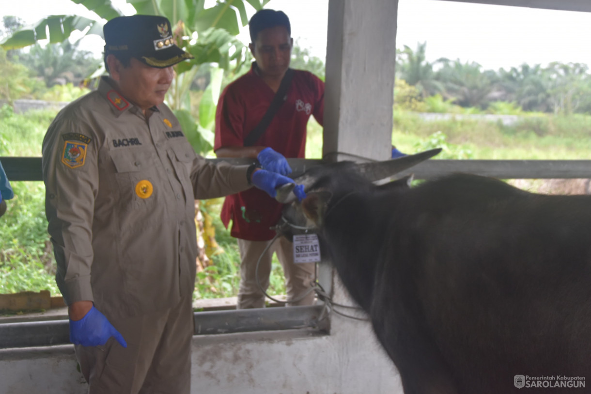 15 Juni 2024 - Monitoring Tempat Pemotongan Hewan Kurban Di Kelurahan Aurgading Kecamatan Sarolangun Dan Desa Siliwangi Kecamatan Singkut