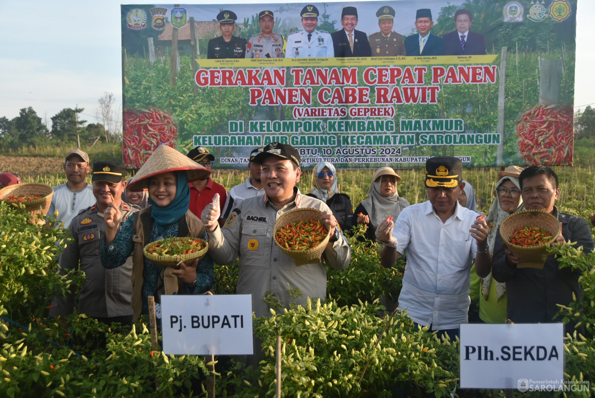 10 Agustus 2024 - Gerakan Tanam Cepat Panen Cabe Rawit Kelompok Tani Kembang Makmur, Bertempat di Kelurahan Aur Gading Kecamatan Sarolangun