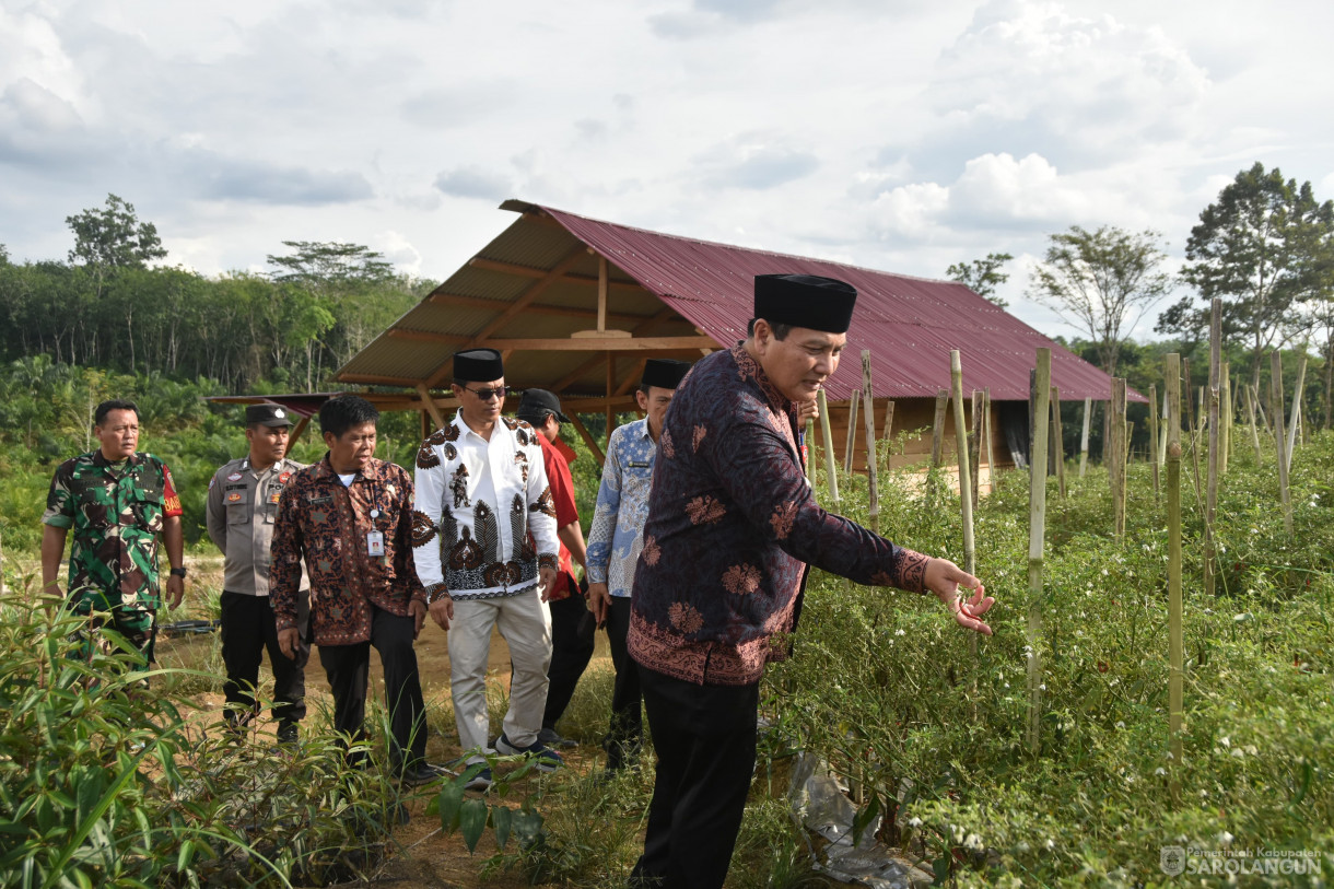 11 Januari 2024 - Meninjau Kebun Cabe Di Desa Pasar Singkut Kecamatan Singkut