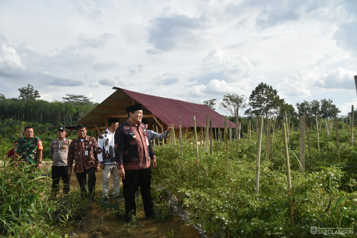 11 Januari 2024 - Meninjau Kebun Cabe Di Desa Pasar Singkut Kecamatan Singkut