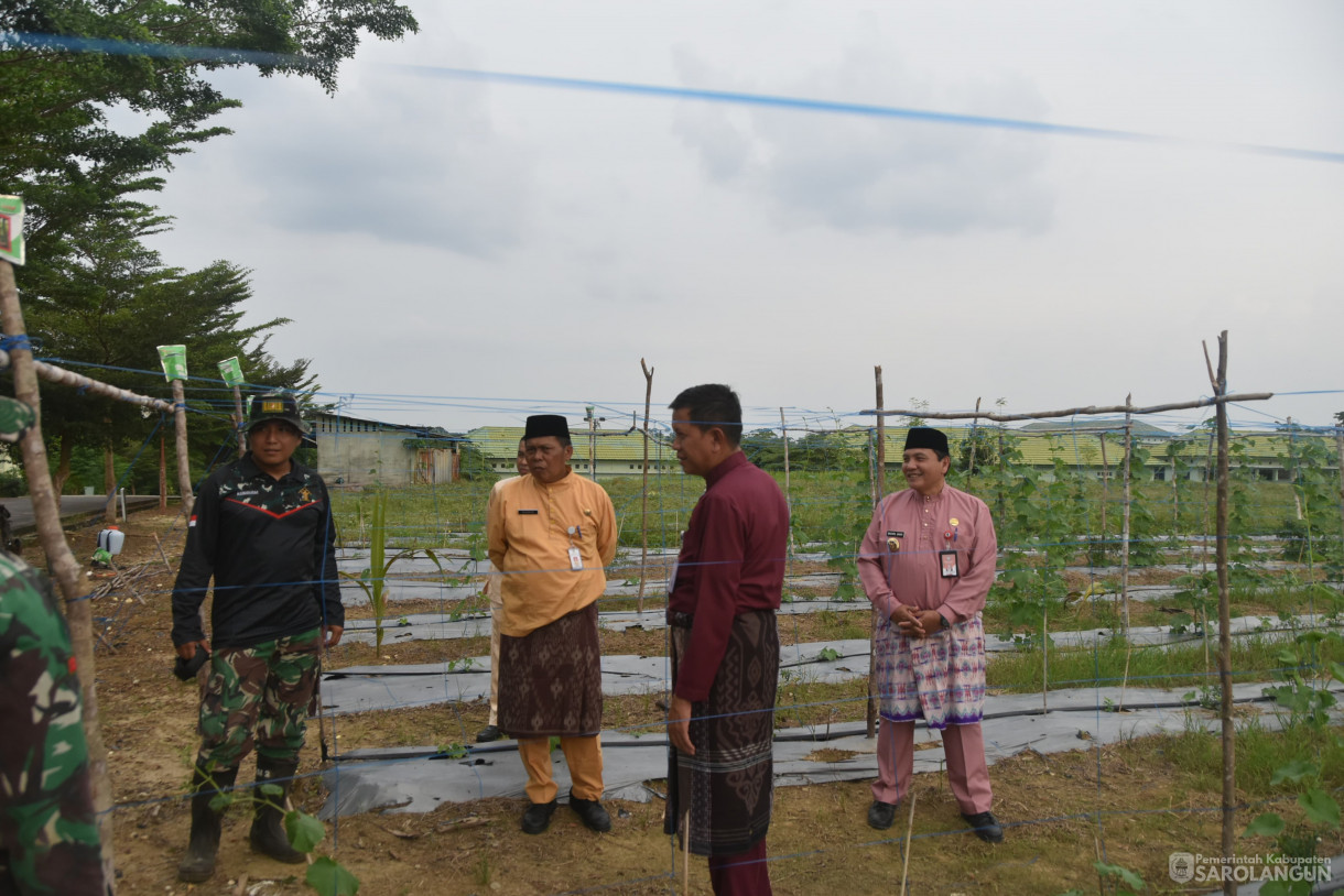 03 Juli 2024 -&nbsp;Meninjau Tanaman, Bertempat di Lahan Kompi Senapan A Yonif 142 KJ