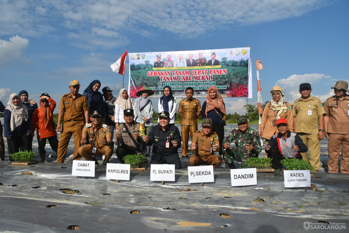 27 Mei 2024 - Gerakan Tanam Cepat Panen Tanam Cabe Merah Kelompok Tani Danau Beringin Desa Ujung Tanjung Kecamatan Sarolangun