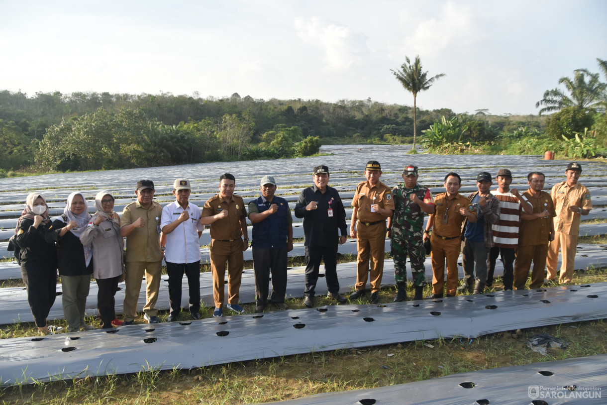 4 Juni 2024 - Gerakan Tanam Cepat Panen Tanam Cabe Merah Di Kelompok Jaya Makmur Desa Bukit Murau Kecamatan Singkut Dan Meninjau Smart Green House Dan Penanaman Bibit M