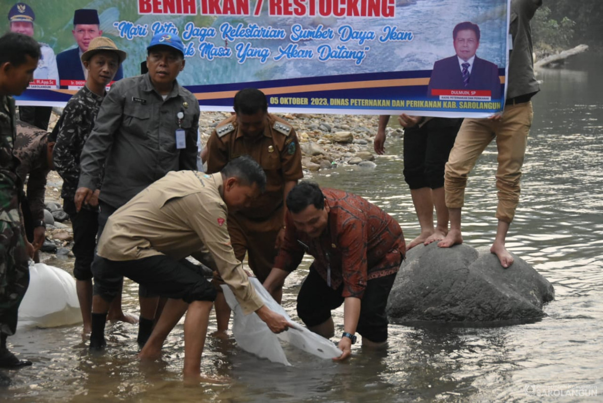 5 Oktober 2023 - Penjabat Bupati Sarolangun Melakukan Restoking Penebaran Benih Ikan Semah Sebanyak 2500 Ekor di Dusun Tangkui di Desa Batu Empang dan Desa Muara Cuban Kecamatan Batang Asai