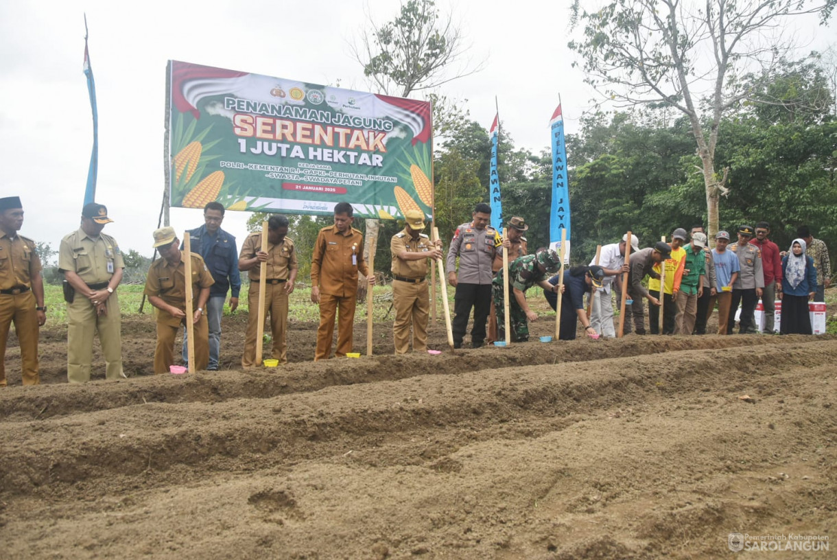 21 Januari 2025 -&nbsp;Penanaman Jagung Serentak di Desa Pelawan Jaya Kecamatan Pelawan