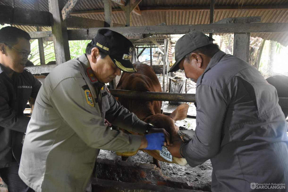 15 Juni 2024 - Monitoring Tempat Pemotongan Hewan Kurban Di Kelurahan Aurgading Kecamatan Sarolangun Dan Desa Siliwangi Kecamatan Singkut