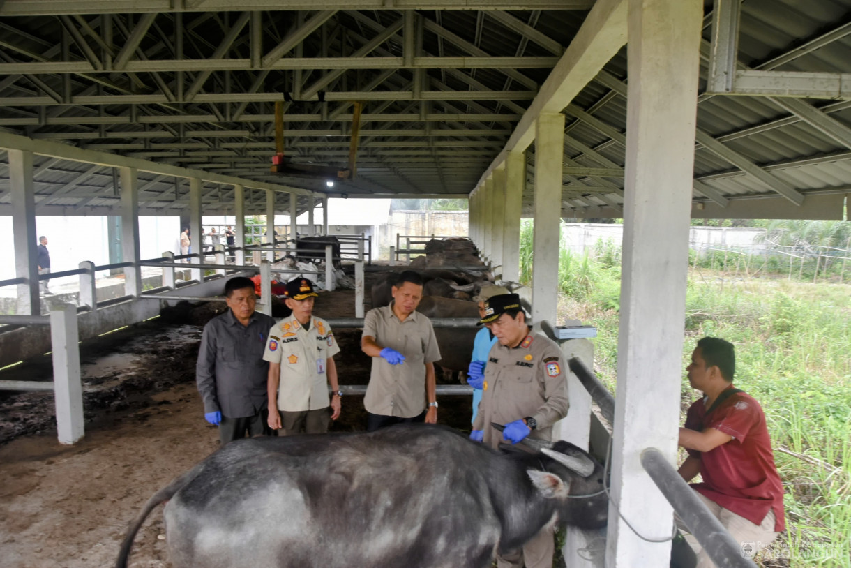 15 Juni 2024 - Monitoring Tempat Pemotongan Hewan Kurban Di Kelurahan Aurgading Kecamatan Sarolangun Dan Desa Siliwangi Kecamatan Singkut