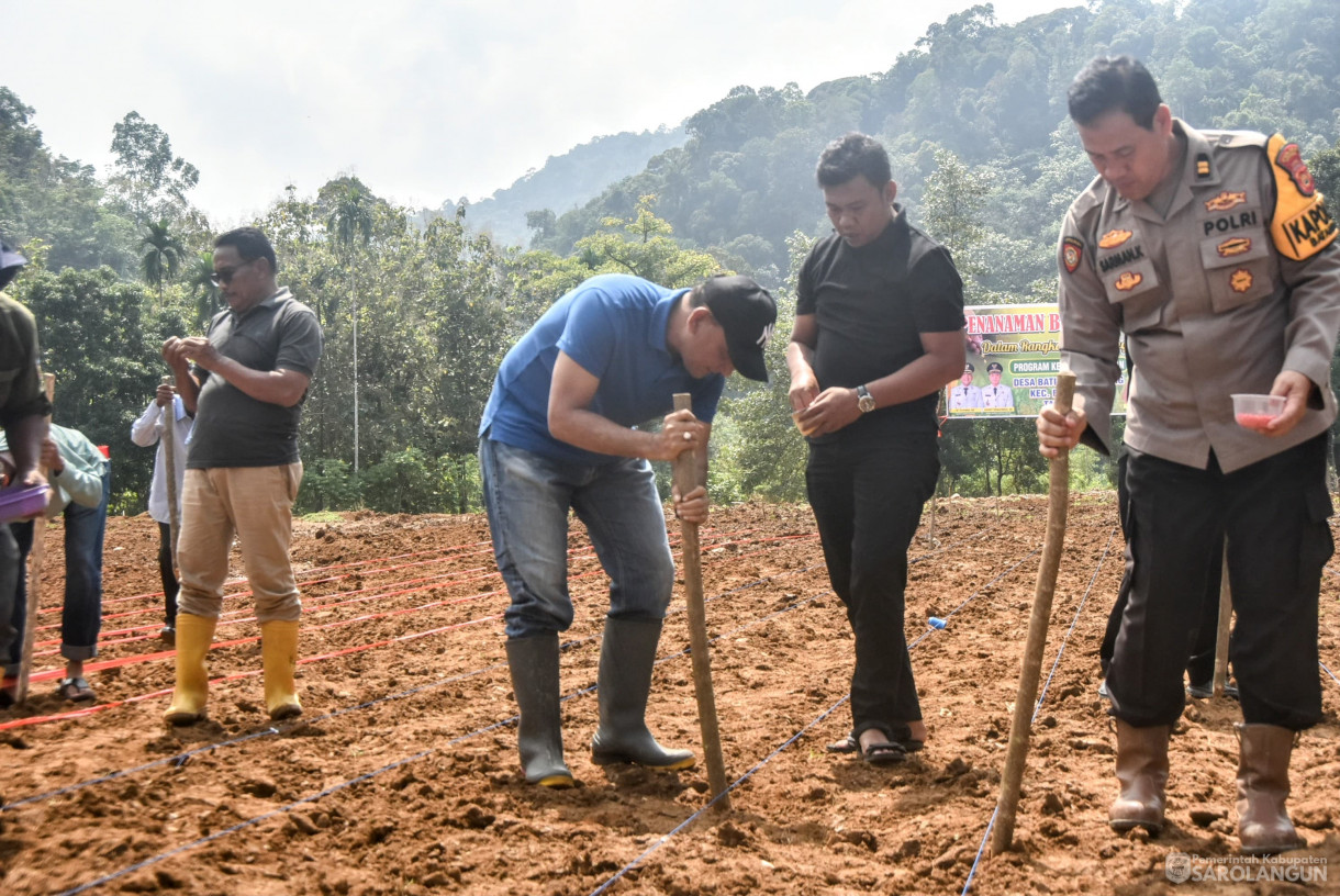 9 Agustus 2025 - Penanaman Bibit Jagung Dalam Rangka Program Ketahanan Pangan di Desa Bathin Pengambang Kecamatan Batang Asai