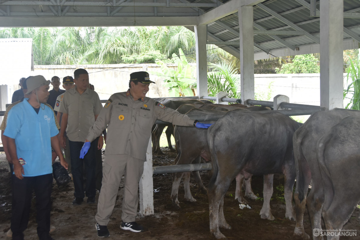 15 Juni 2024 - Monitoring Tempat Pemotongan Hewan Kurban Di Kelurahan Aurgading Kecamatan Sarolangun Dan Desa Siliwangi Kecamatan Singkut