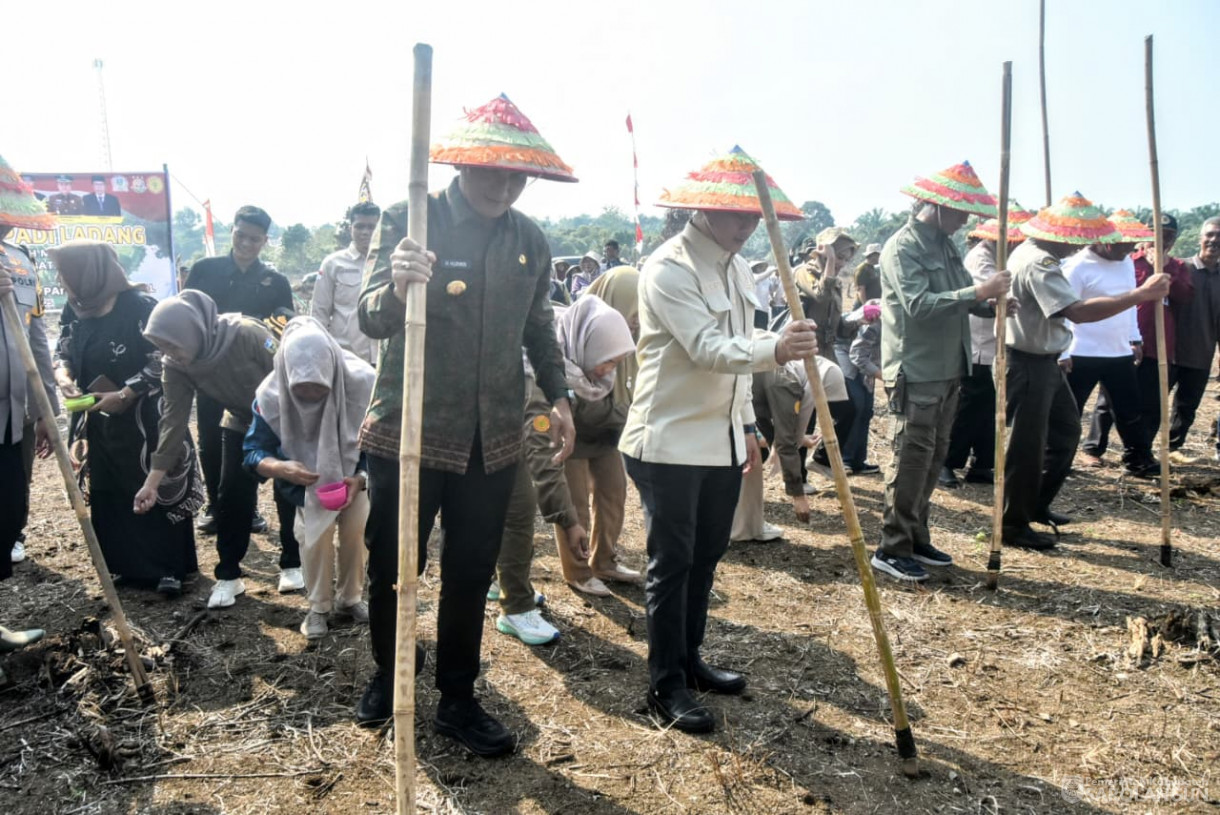 28 Agustus 2025&nbsp; &nbsp;Panen Perdana Padi Ladang Kelompok Tani Renah Mutu Desa Tanjung Kecamatan Bathin VIII
