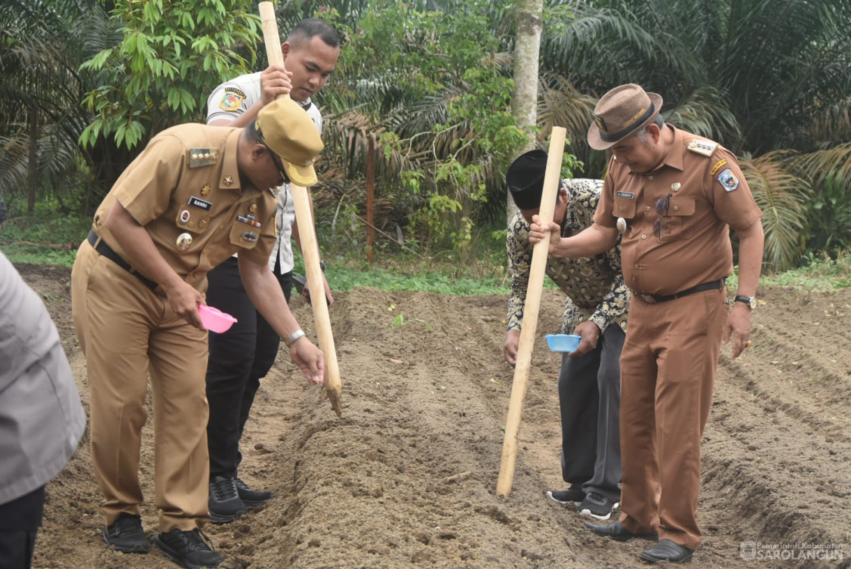 21 Januari 2025 -&nbsp;Penanaman Jagung Serentak di Desa Pelawan Jaya Kecamatan Pelawan