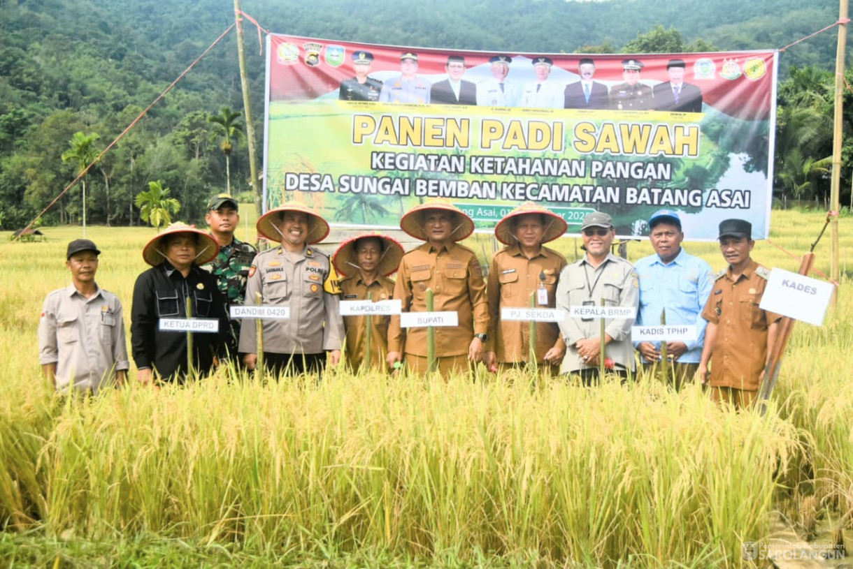 1 September 2025&nbsp; Panen Padi Sawah Kelompok Tani Sumber Harapan Desa Sungai Bemban Kecamatan Batang Asai