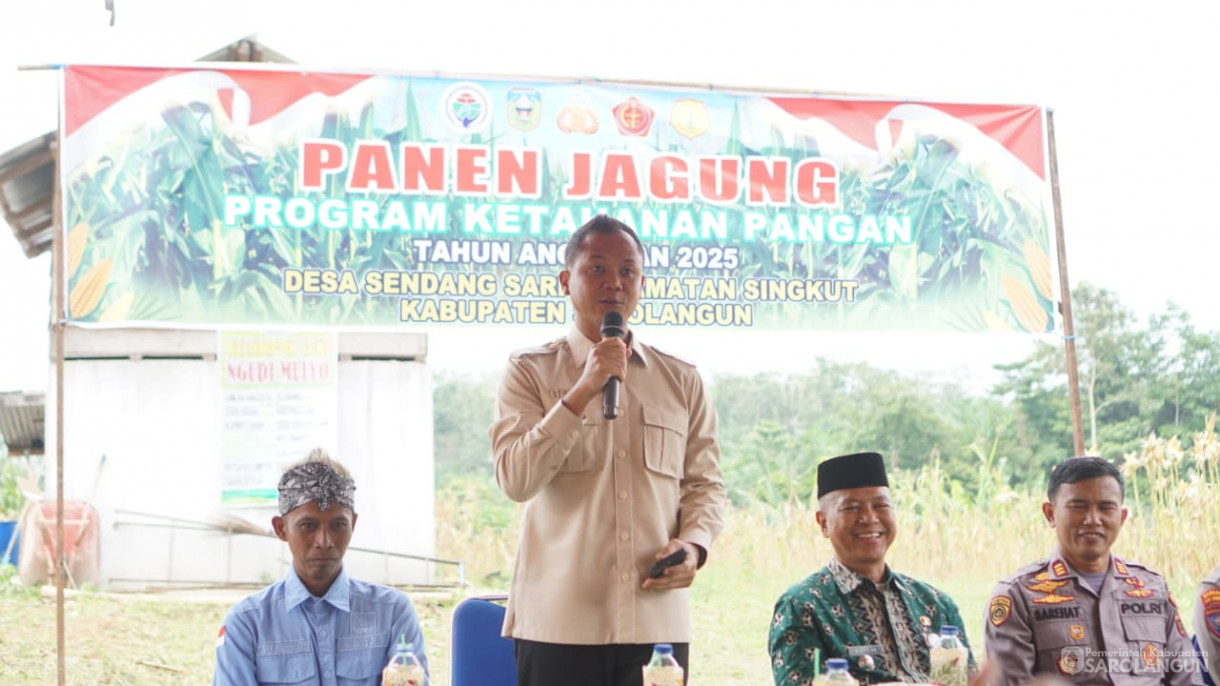 Panen Jagung Desa Sendang Sari Singkut