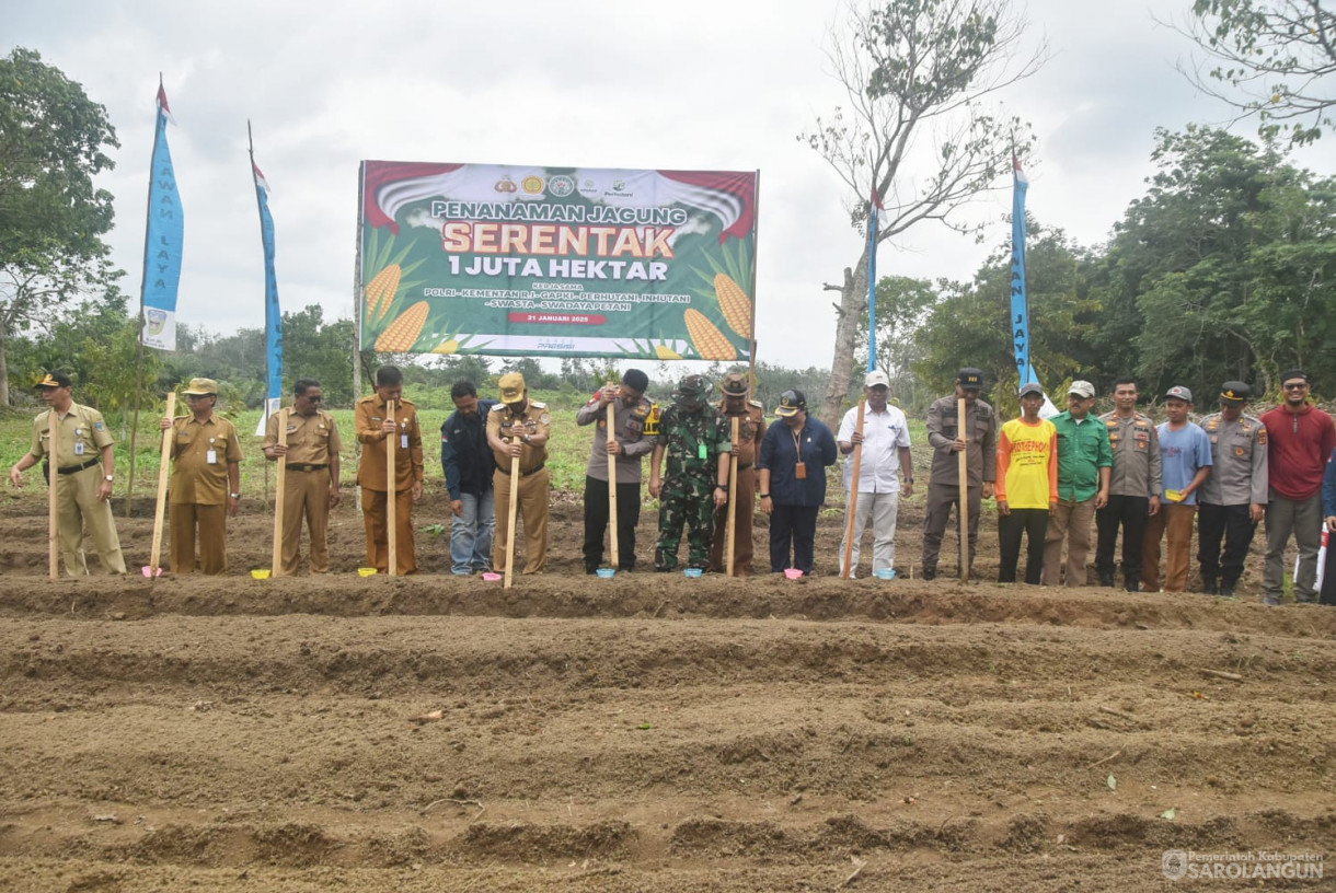 21 Januari 2025 -&nbsp;Penanaman Jagung Serentak di Desa Pelawan Jaya Kecamatan Pelawan