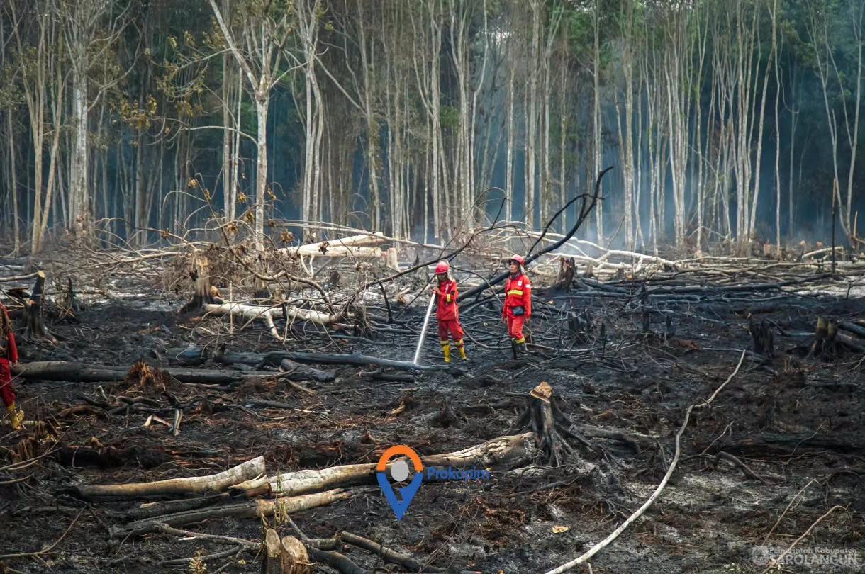 25 Agustus 2026 Peninjauan secara langsung Kebakaran Hutan dan Lahan di Desa Lubuk Kepayang Kecamatan Air Hitam