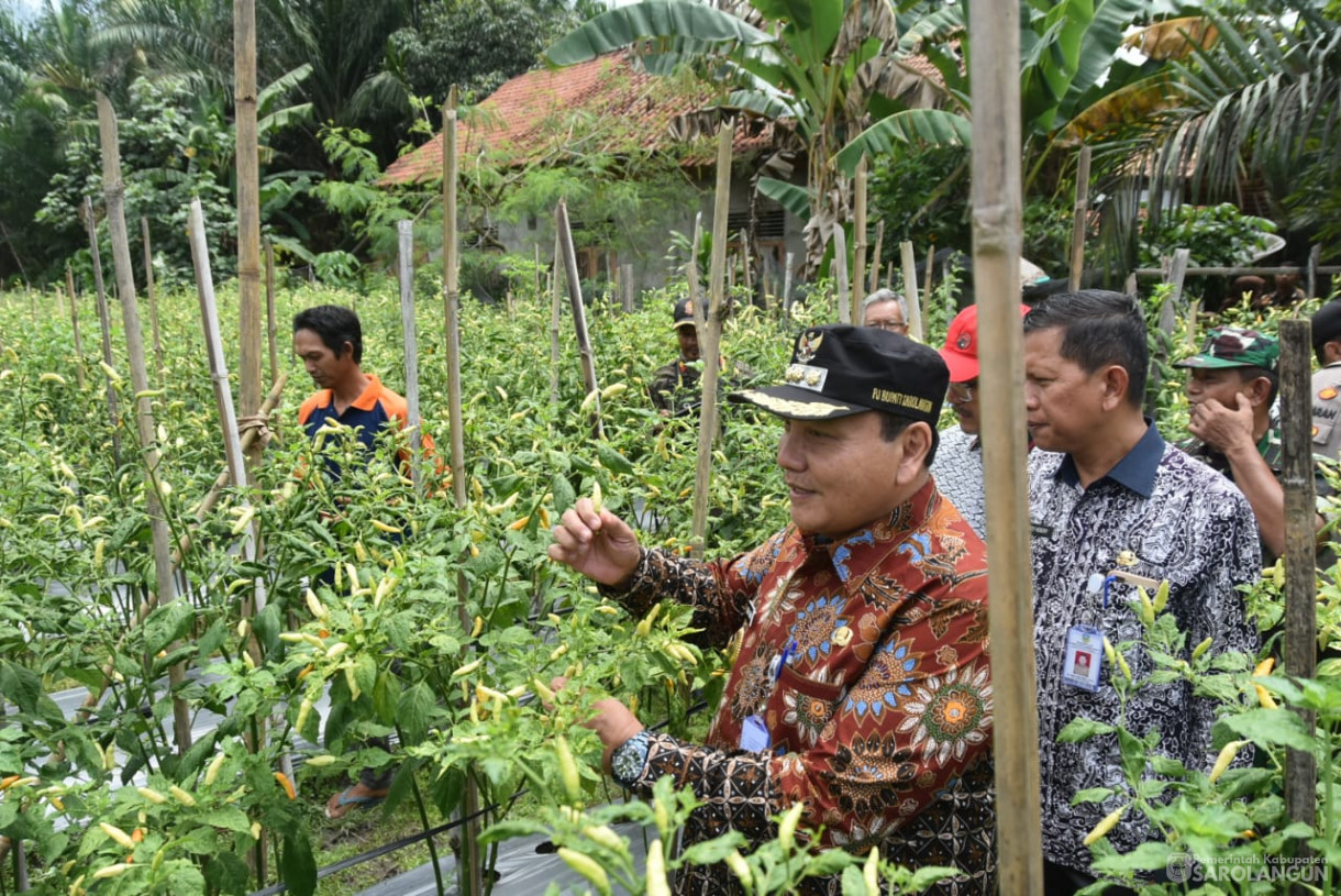 21 September 2023 - Penjabat Bupati Sarolangun Bersama Forkopimda Menghadiri Acara Gerakan Tanam Cepat Panen Cabe Rawit Kelompok Tani Bina Jaya Desa Payolebar Kecamatan Singkut