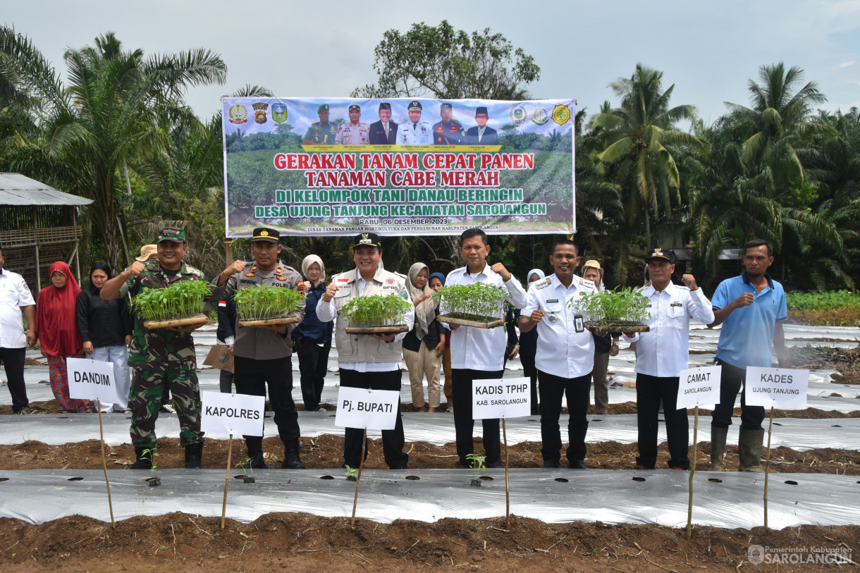 6 Desember 2023 - Gerakan Tanam Cepat Panen Tanaman Cabe Merah Di Kelompok Tani Danau Beringin Desa Ujung Tanjung Kecamatan Sarolangun