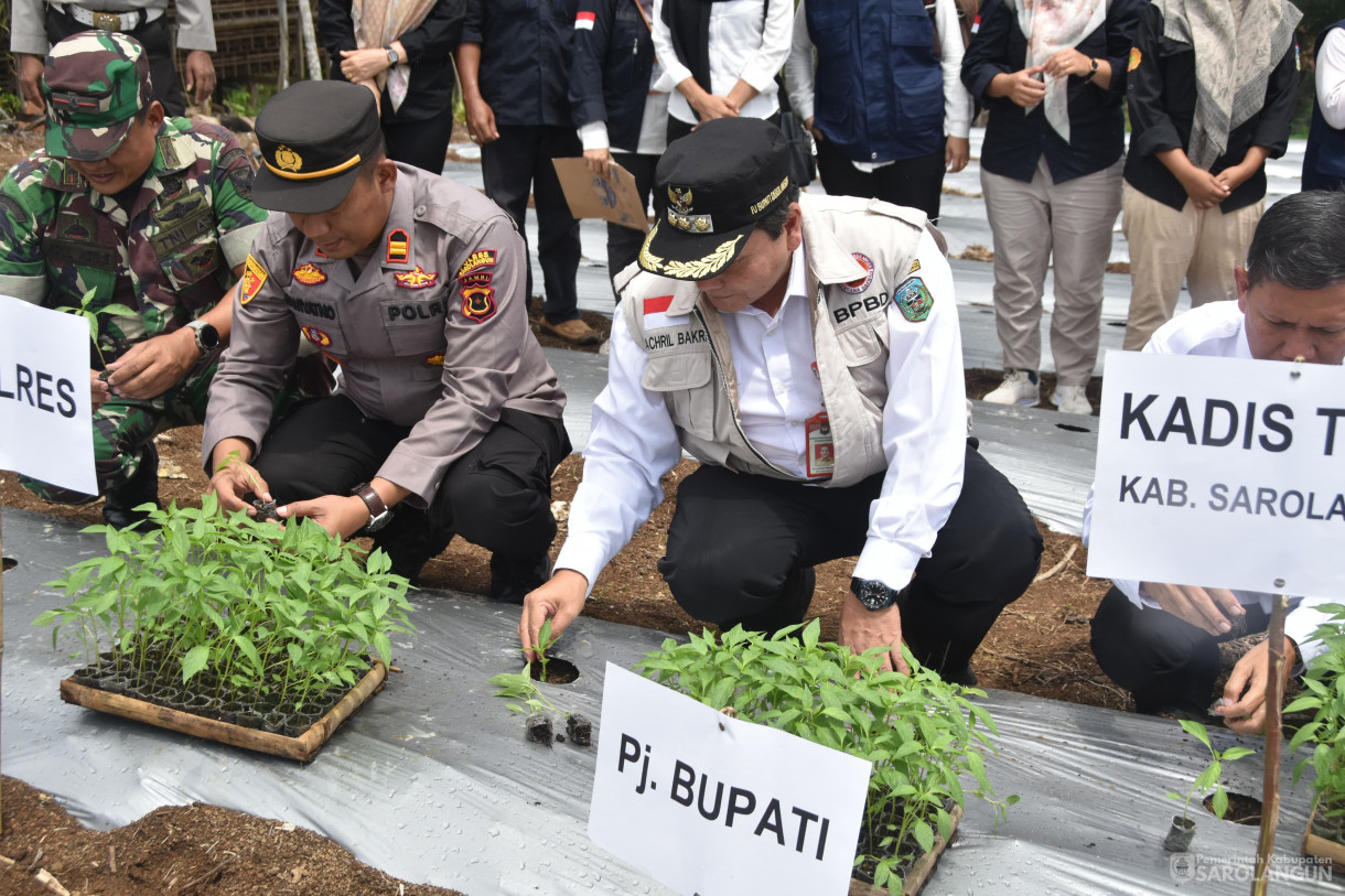 6 Desember 2023 - Gerakan Tanam Cepat Panen Tanaman Cabe Merah Di Kelompok Tani Danau Beringin Desa Ujung Tanjung Kecamatan Sarolangun