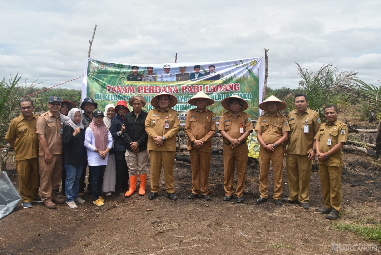 10 September 2024 - Tanam Perdana Padi Ladang Kelompok Tani Mitra Jaya, Bertempat di Desa Pulau Melako Kecamatan Bathin VIII