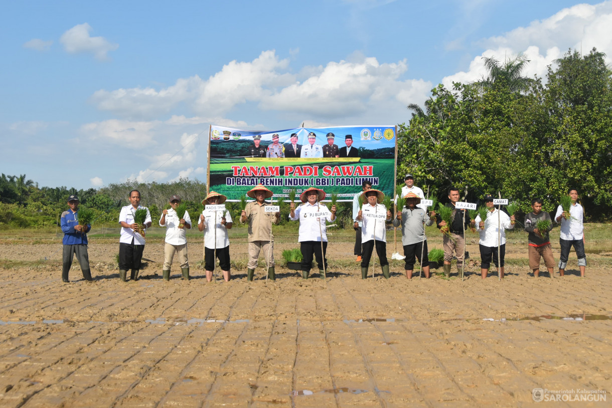 26 Juni 2024 - Tanam Padi Sawah, Bertempat di Balai Benih Induk Padi Kecamatan Limun