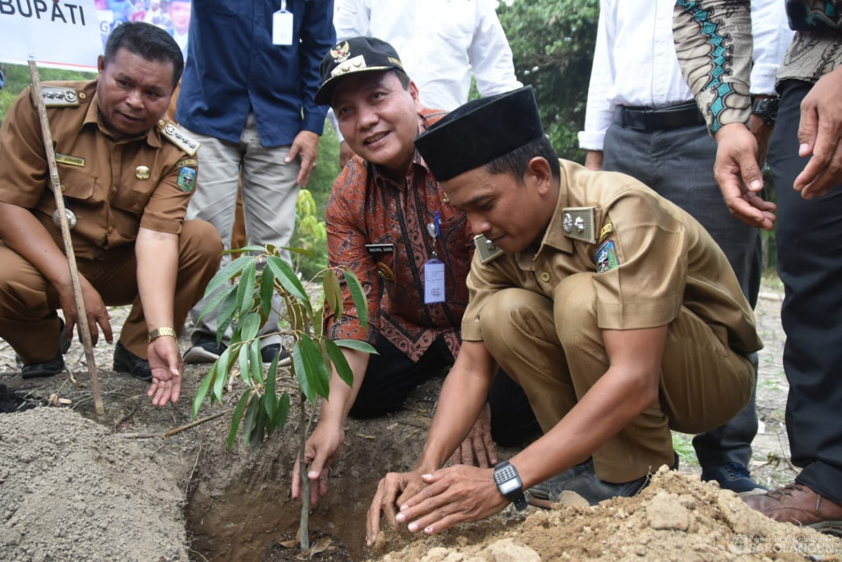 Penanaman Bibit Buah-Buahan di Desa Muaro Cuban Kecamatan Batang Asai