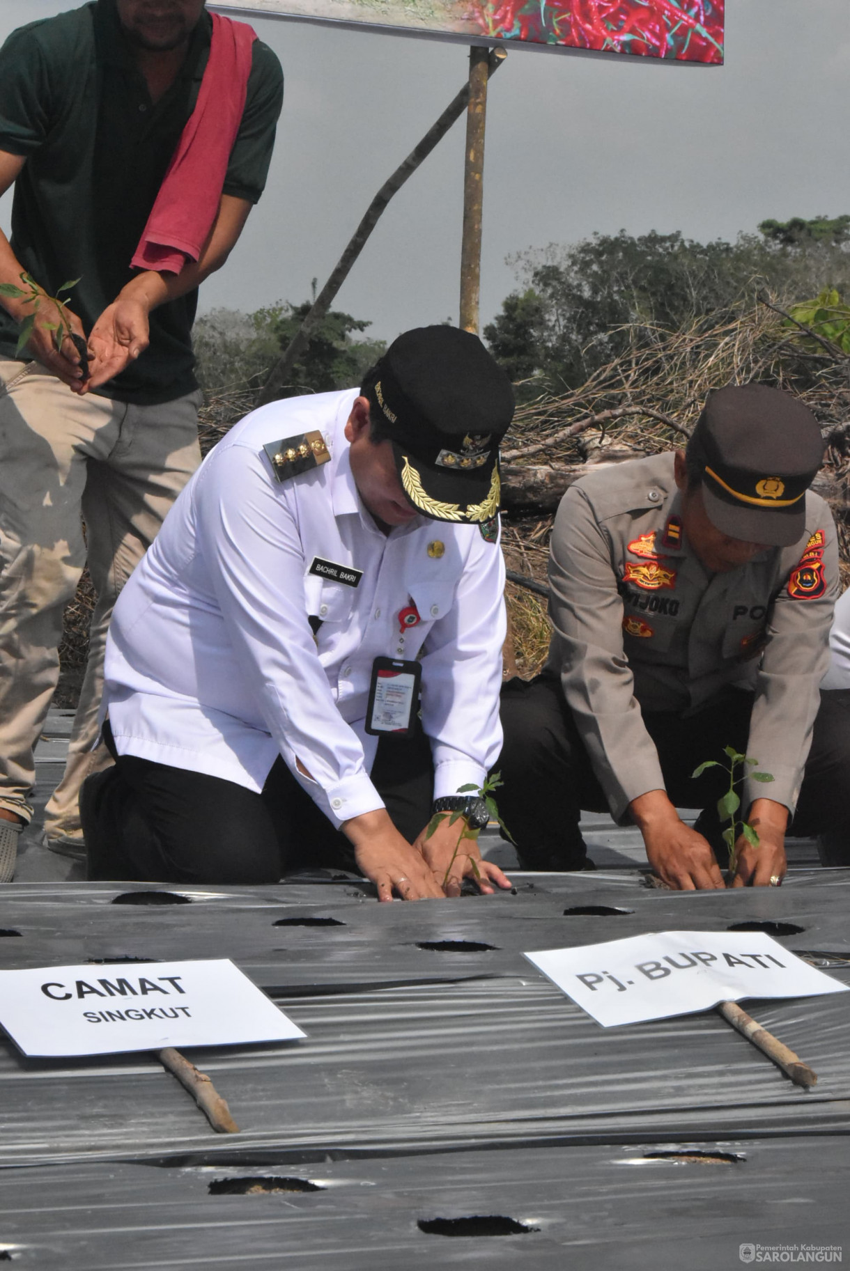 28 Agustus 2024 - Gerakan Tanam Cabe Merah Kelompok Tani Jaya Makmur Desa Bukit Murau Kecamatan Singkut