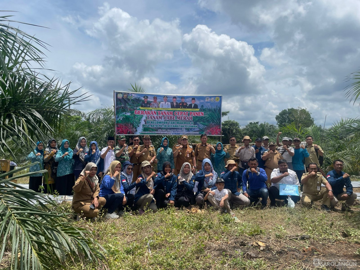 02 April 2024 - Gerakan Tanam Cepat Panen Tanam Cabe Merah Di Kelompok Tani Makmur II Desa Batu Putih Kecamatan Pelawan