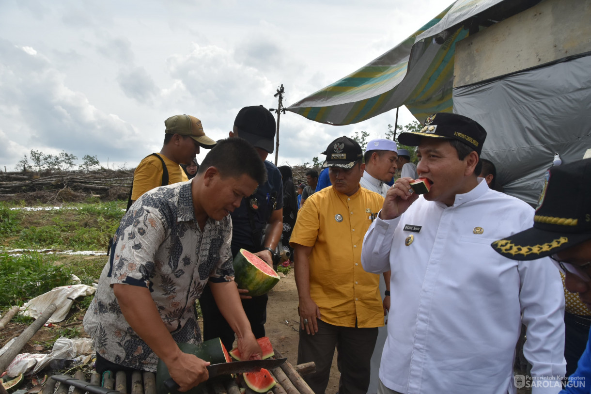 1 Desember 2023 - Panen Semangka Program Ketahanan Pangan Desa Sungai Keramat Kecamatan Cermin Nan Gedang