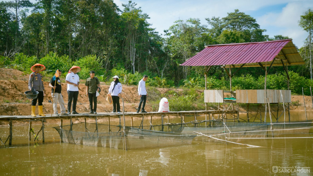 3 September 2025&nbsp; Panen Jagung Hibrida Program Ketahanan Pangan Bumdes Batam Jaya Desa Batu Ampar Tahun 2025