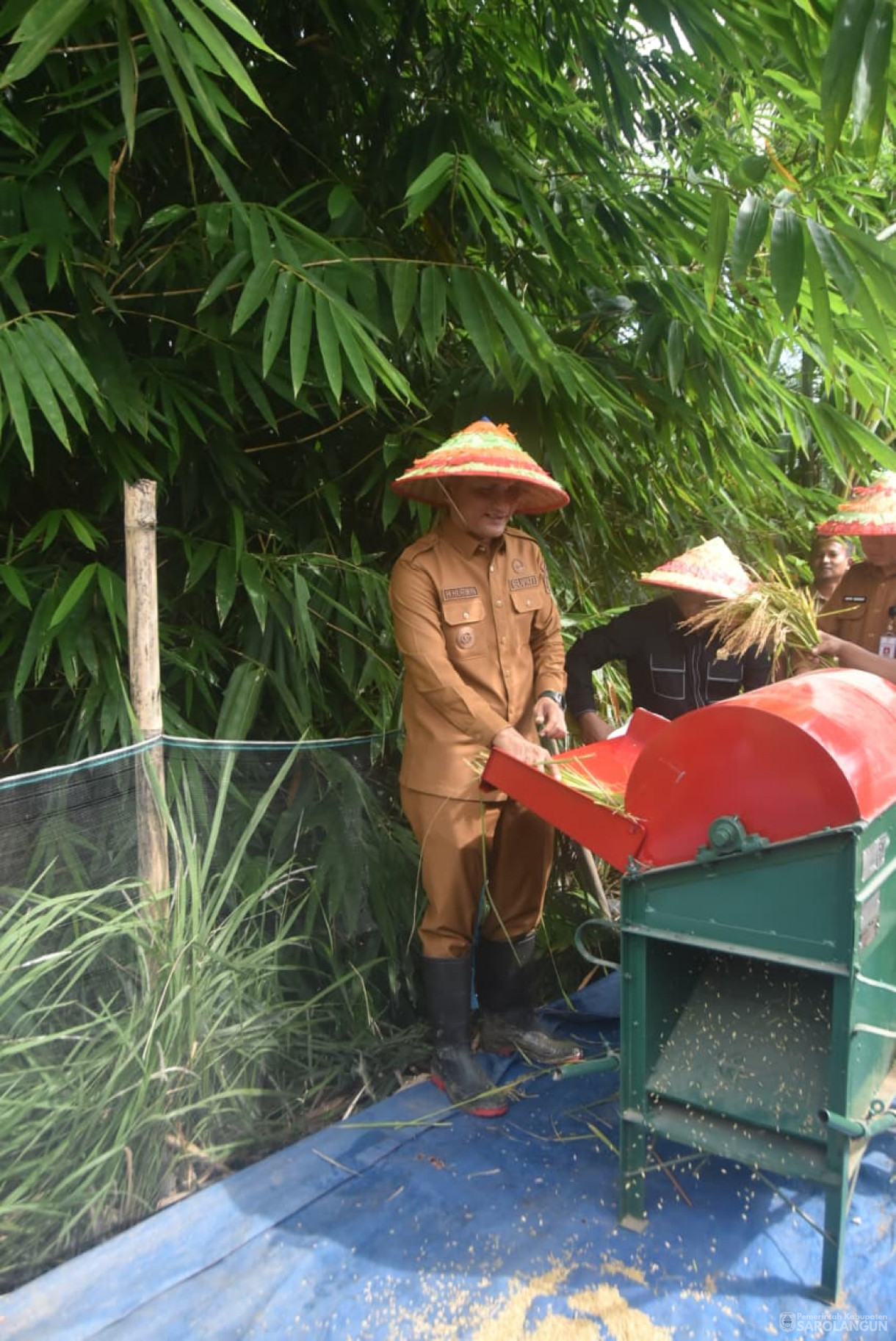 1 September 2025&nbsp; Panen Padi Sawah Kelompok Tani Sumber Harapan Desa Sungai Bemban Kecamatan Batang Asai