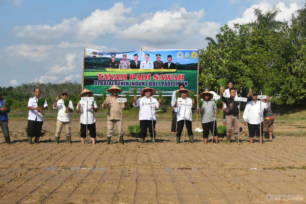 26 Juni 2024 - Tanam Padi Sawah, Bertempat di Balai Benih Induk Padi Kecamatan Limun