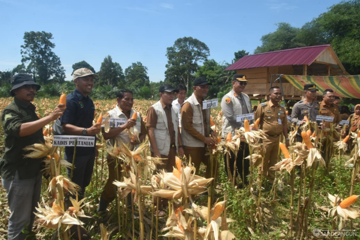 27 Oktober 2025&nbsp; Panen Jagung Ketahanan Pangan di Desa Lidung