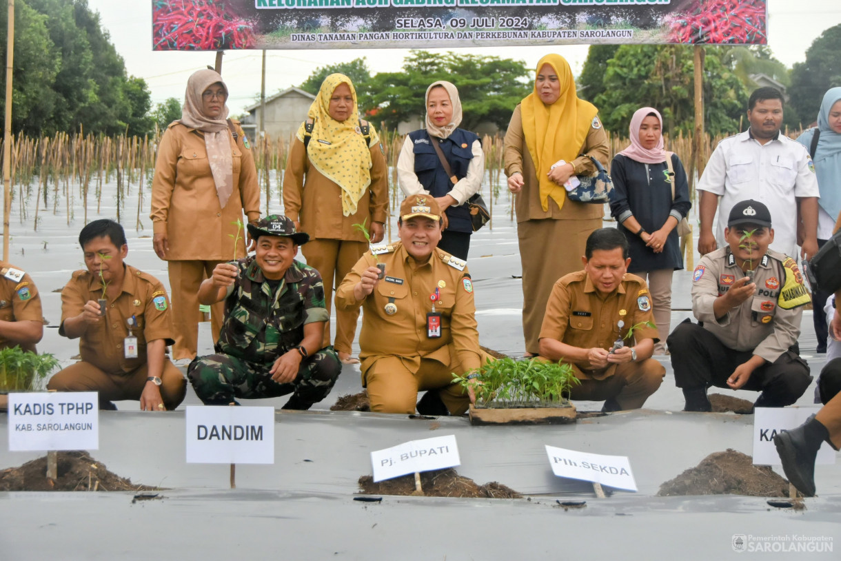 9 Juli 2024 -&nbsp;Gerakan Tanam Cabe Merah Kelompok Tani Sako Mandiri, Bertempat di Kelurahan Aurgading Kecamatan Sarolangun