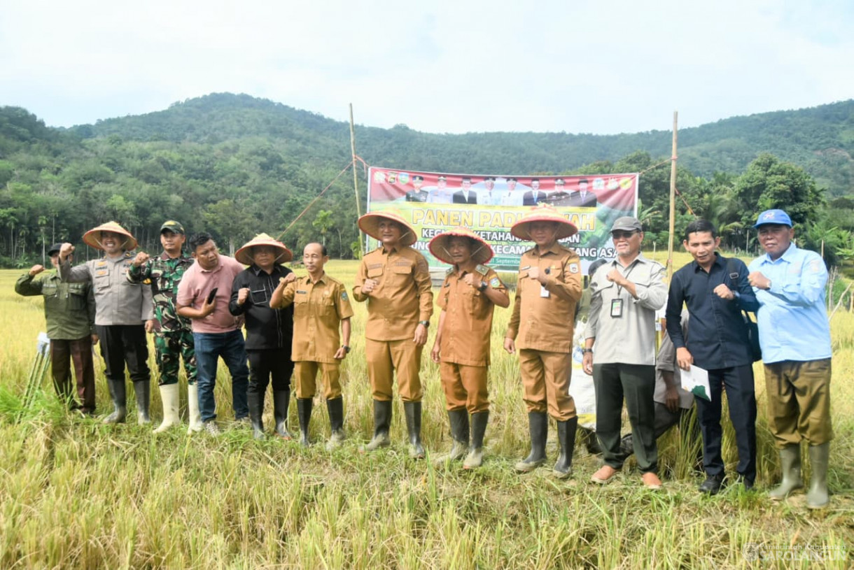 1 September 2025&nbsp; Panen Padi Sawah Kelompok Tani Sumber Harapan Desa Sungai Bemban Kecamatan Batang Asai