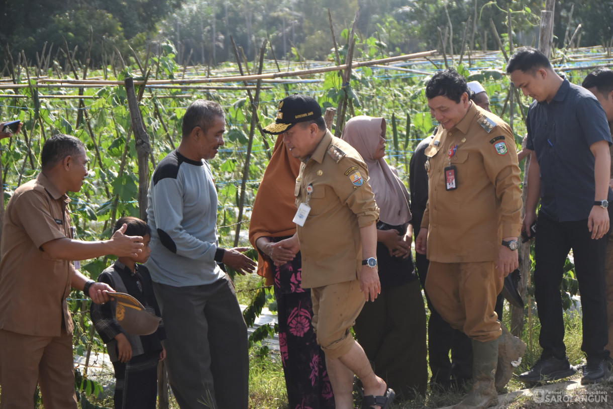 23 Juli 2024 -&nbsp;Tanam Perdana Padi Sawah, Bertempat di Desa Lubuk Sayak Kecamatan Pelawan